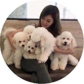 Emma, Pet Groomer in Tampines
