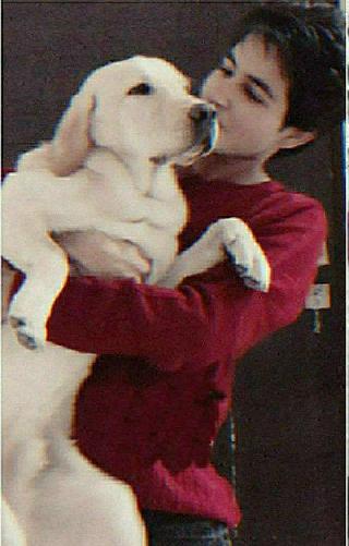 Pet Boarding in Glasgow west end, Woof Woof Boarding