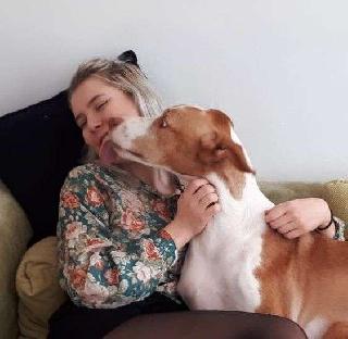 Cat, Rabbit Hotel Home Pet Boarding in Groningen, Groningen