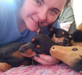 Han, Pet Sitter in Pretoria