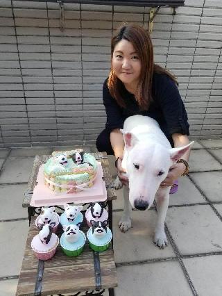 emily, Pet Walker in 黃大仙