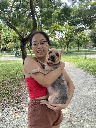 kristie, Pet Walker in Novena