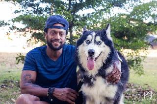 cat boarding north york