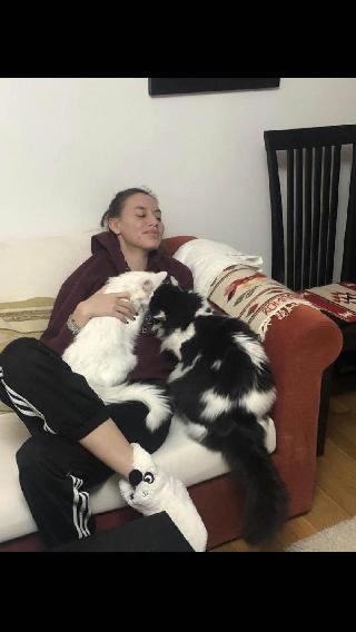 Dog Cat Sitter In Paris Paris Caring For Lovely Cats And Dogs In Paris Petbacker Ile De France