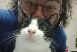 Claudia, Pet Sitter in 台中市