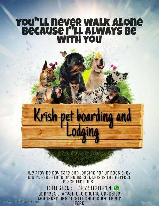 Creatures Pet Lodge All Creatures Boarding And Grooming Dog, Bird