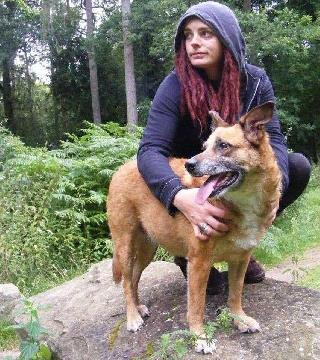 Pet Training in Village Drive, Lawley Roving Spirit Dog Training