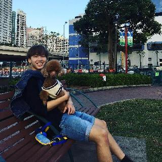 Hon, Pet Boarder in Yuen Long