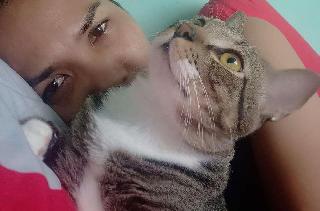 WakLu, Pet Boarder in Petaling Jaya