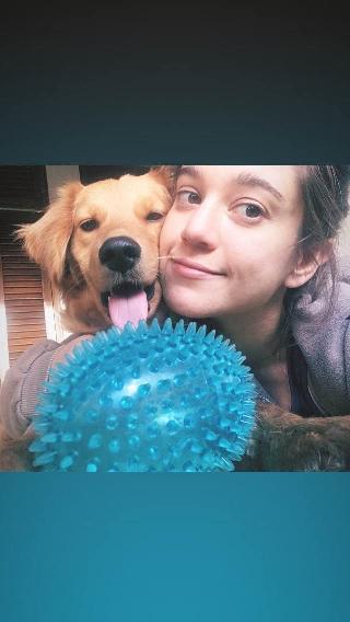 Dog, Cat Hotel Home Pet Boarding in Calle La Mascota, San Salvador