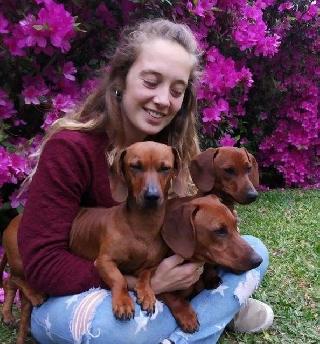 Anto, Pet Walker in Rosario