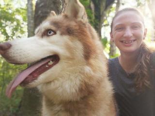 Pet Taxi Transport in CT, Cape Town Cape Towns Pet Uber