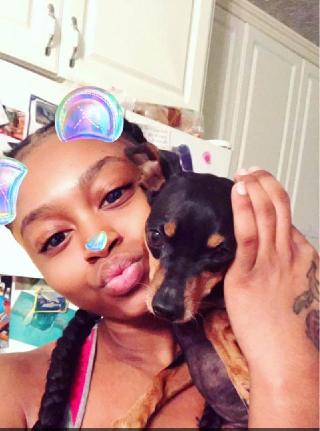 best pet hotel near me