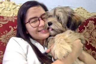 in home pet boarding near me