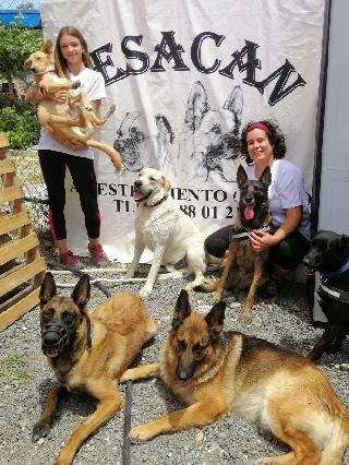 Perro Alojamiento en casa en Málaga, campanillas Málaga Málaga