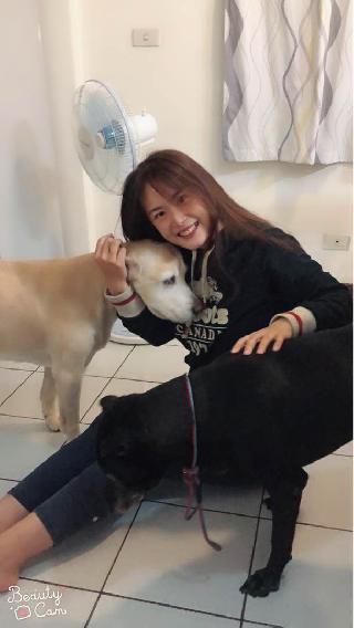 3 years in dog years