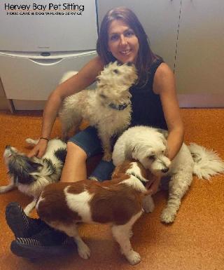 Pet Daycare in Hervey Bay Area Urangan Hervey Bay Pet Sitting