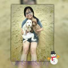 Sylvia, Pet Sitter in Nusajaya