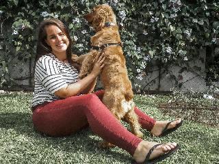 Dog Daycare Tails Inn The City Dog Boarding Facility Dog Daycare