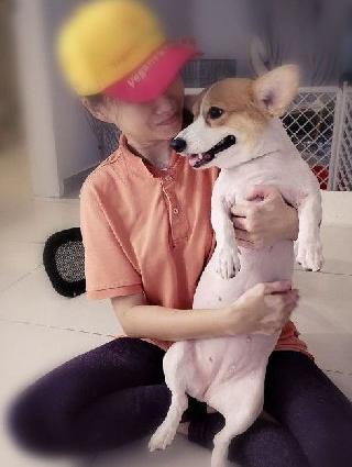 Cat Sitters di Batu 9 Cheras dengan Harga Terbaik oleh PetBacker