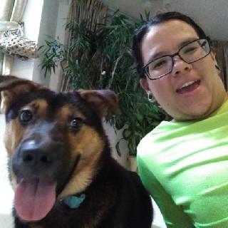 Doggy Daycare in Causeway Bay, Causeway Bay Doggy Tales Daycare