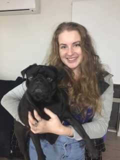 Pet Boarding in Bath street, Labrador Gold Coast Renae's Pet