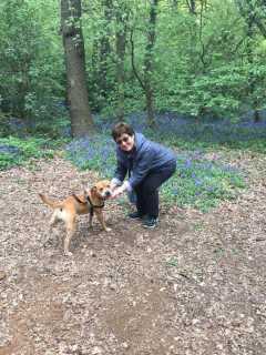 Doggy Daycare in Priory Avenue, Chingford E4 Kathy's Doggie Home