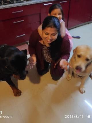 Dog Hotel Home Pet Boarding in Hennur, Bengaluru Loving Home
