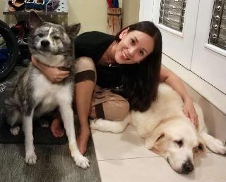 Dog Hotel Home Pet Boarding in BUTTERWORTH, PENANG, Simpang Ampat