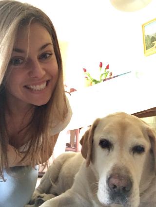 best dog boarding places near me