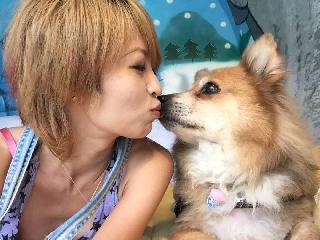 bird kennels near me