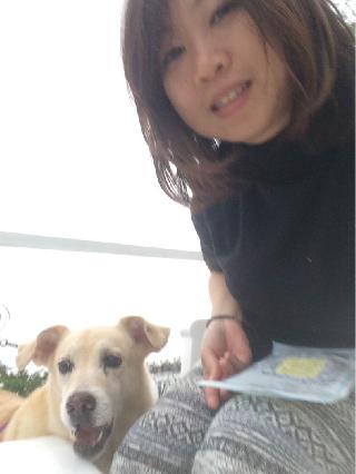 dog walking prices near me