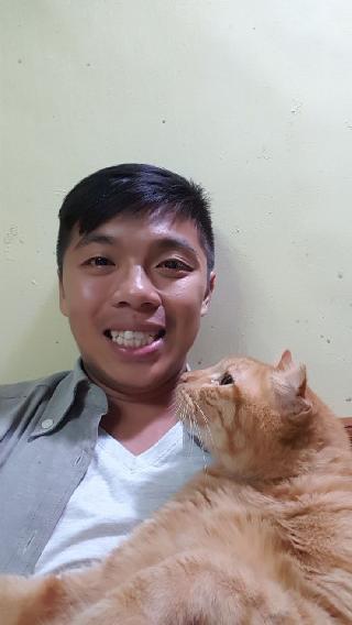 cat boarding costs near me