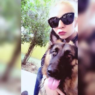 Nan, Pet Sitter in Prague