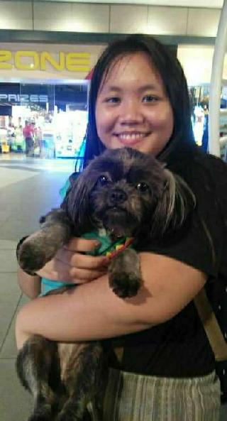 dog walker in my area