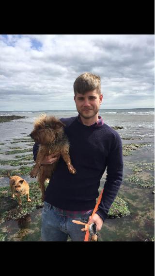 Dog Walking in Somerset/Dorset, Adber Somerset And Dorset Dog