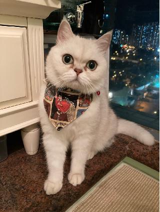 #