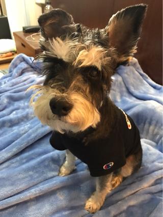 top rated pet boarding near me