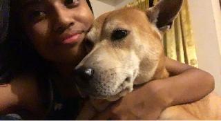 Shannica, Pet Groomer in Johor Bahru