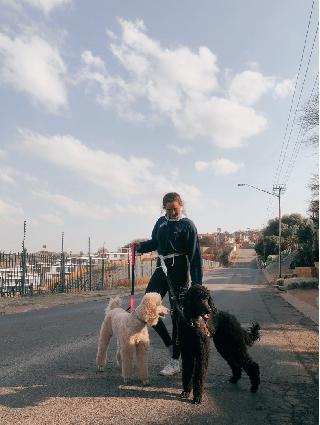 animal sitting near me