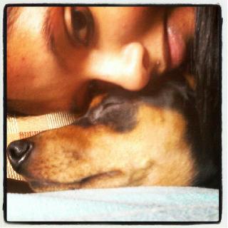 Taxi pour Chien, Chat à Dubai Pet Taxi Service PetBacker Dubai