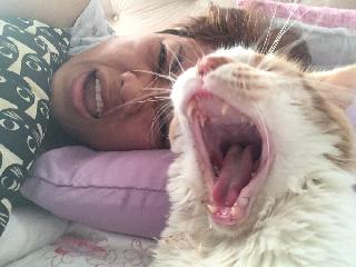 Setia Alam Best Pet Boarding Grooming For Dogs Cats With Pickup Petbacker Selangor