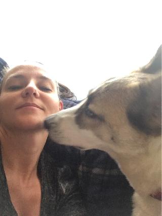 top rated dog boarding