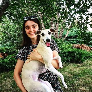 kennel boarding prices near me