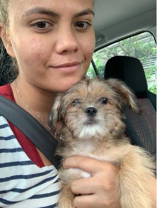 Nadia, Pet Groomer in Pusat Bandar Damansara