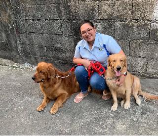 boarding for dogs near me prices