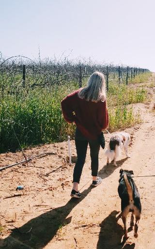 Pet Sitter in Somerset West, Sea Point Paige's CT/ Somerset West