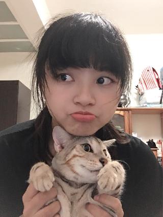 Baky, Pet Sitter in New Taipei City