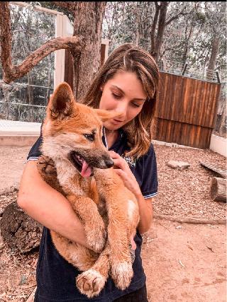 Pet Boarding in Gold Coast Southport Gold Coast Pet Hosting