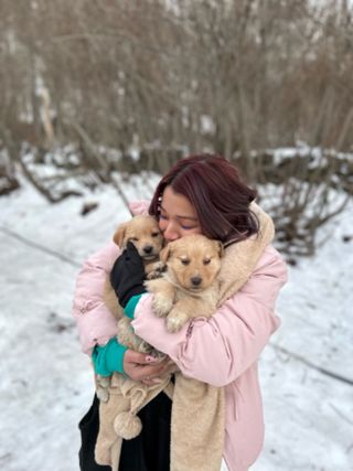 Woof Ventures Overnight Puppy Daycare Doggy Daycare Near Me The